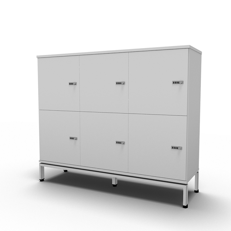 Evolution Locker 6-Door on Frame